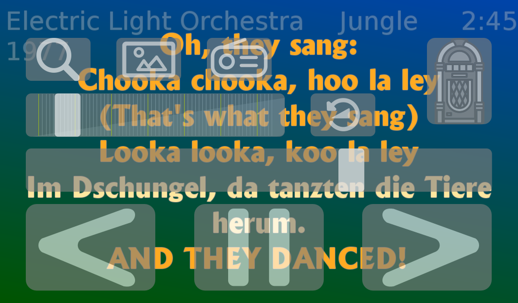 Wiedergabedisplay mit Bedienelementen